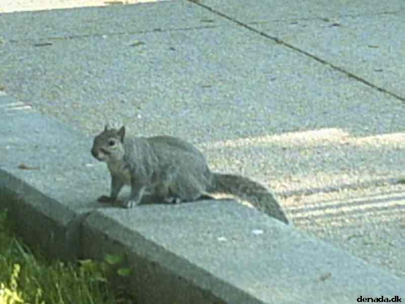 * Image 71