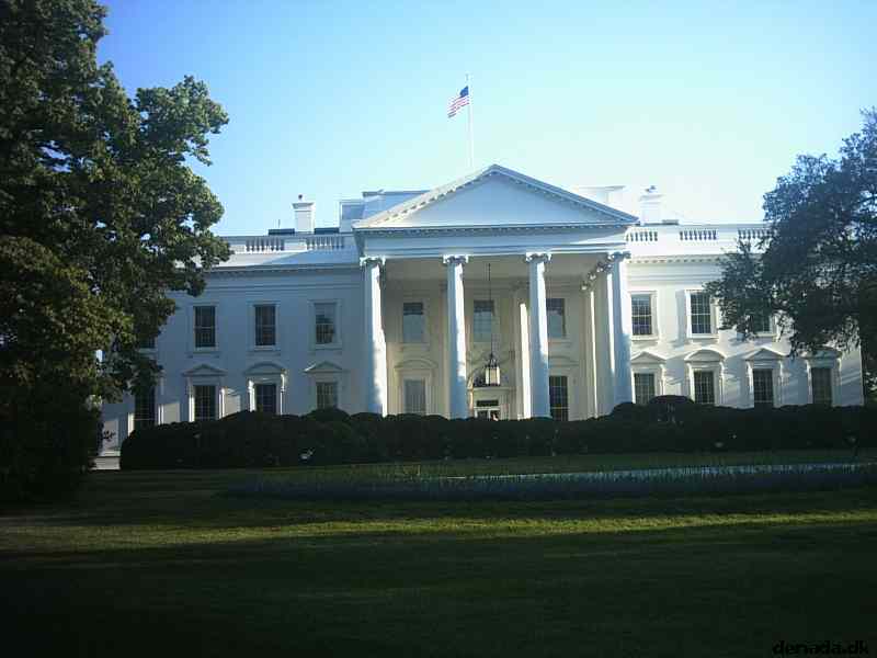 * Image 72