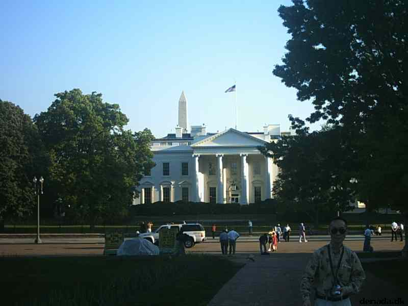 * Image 77