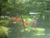 PHTO0372.JPG - 2006:04:25 11:47