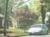 PHTO0375.JPG - 2006:04:25 11:48