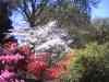 PHTO0379.JPG - 2006:04:25 11:55