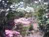PHTO0380.JPG - 2006:04:25 11:55
