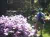 PHTO0382.JPG - 2006:04:25 11:57