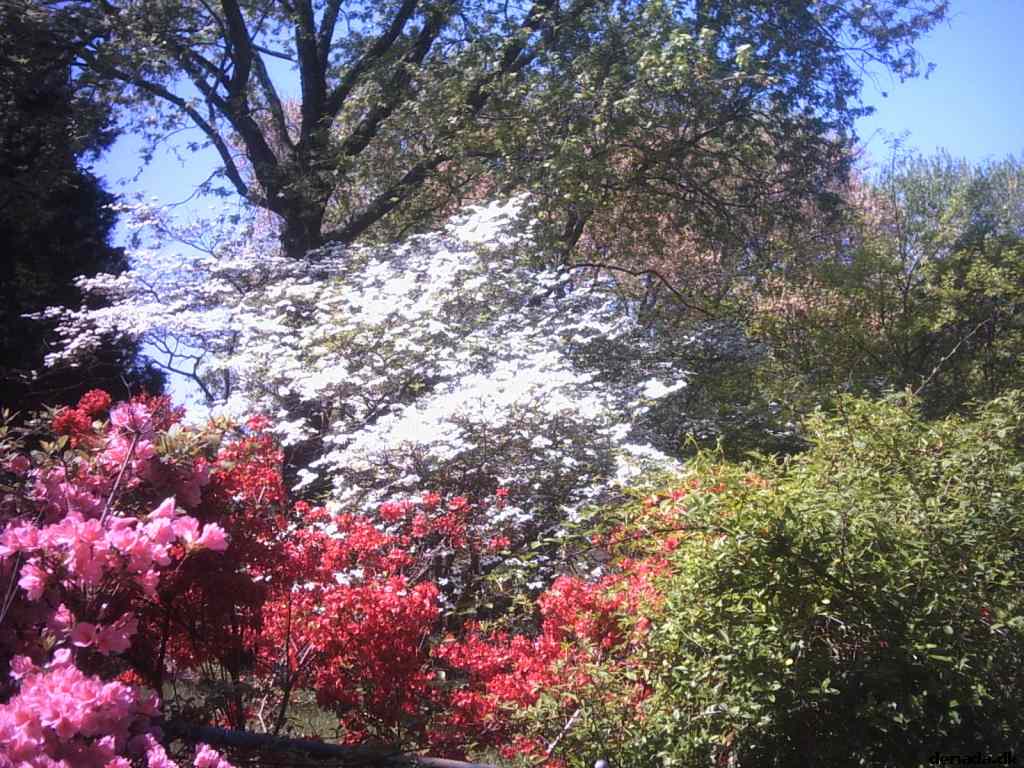 * Image 30