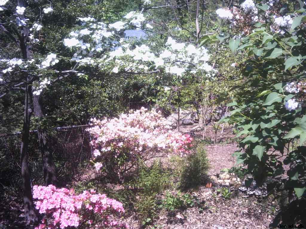 * Image 31