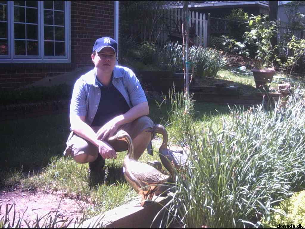 * Image 32