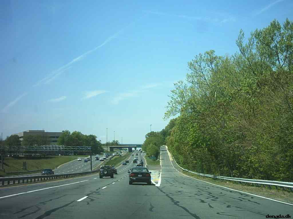 * Image 50