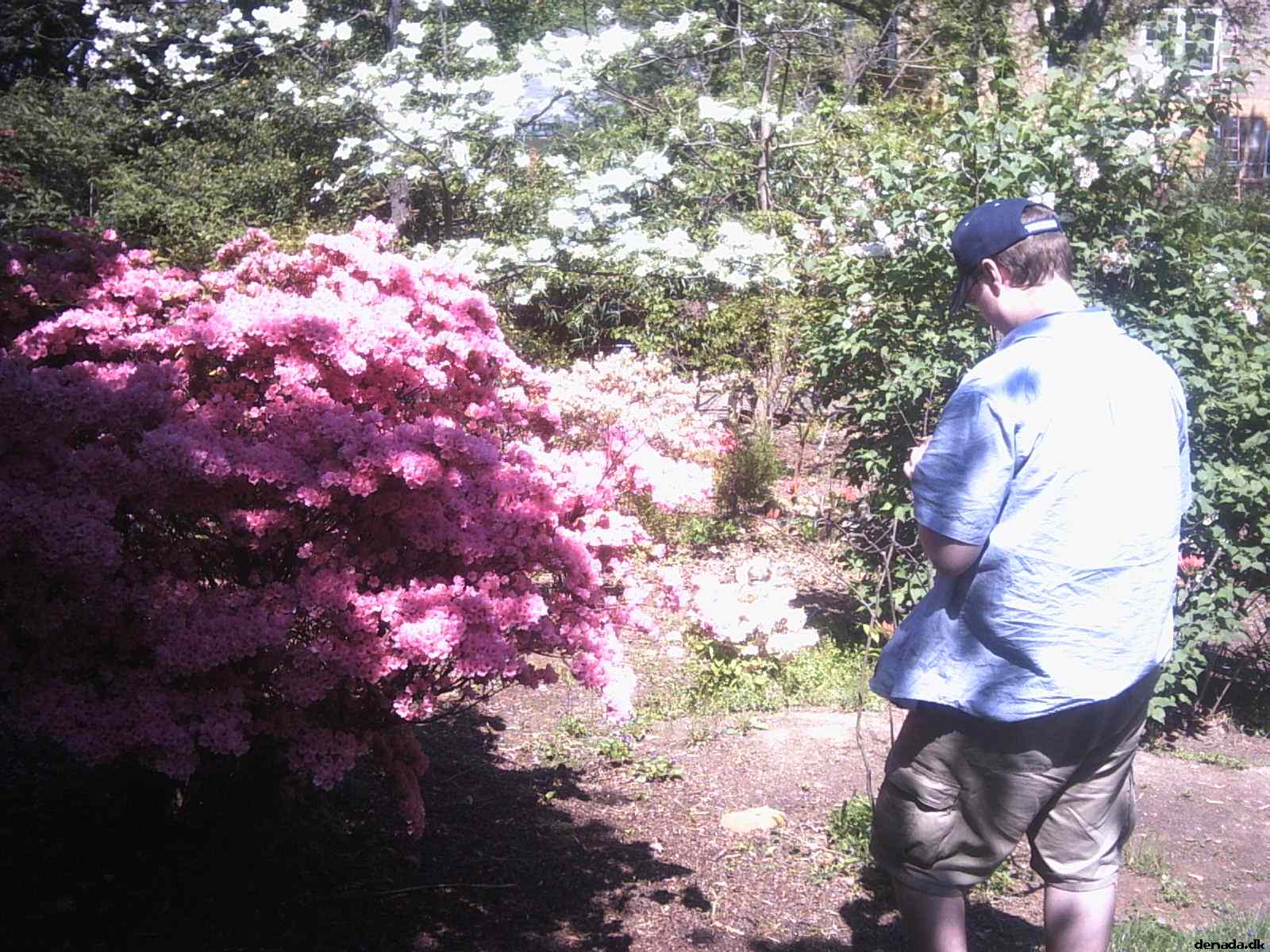 * Image 29