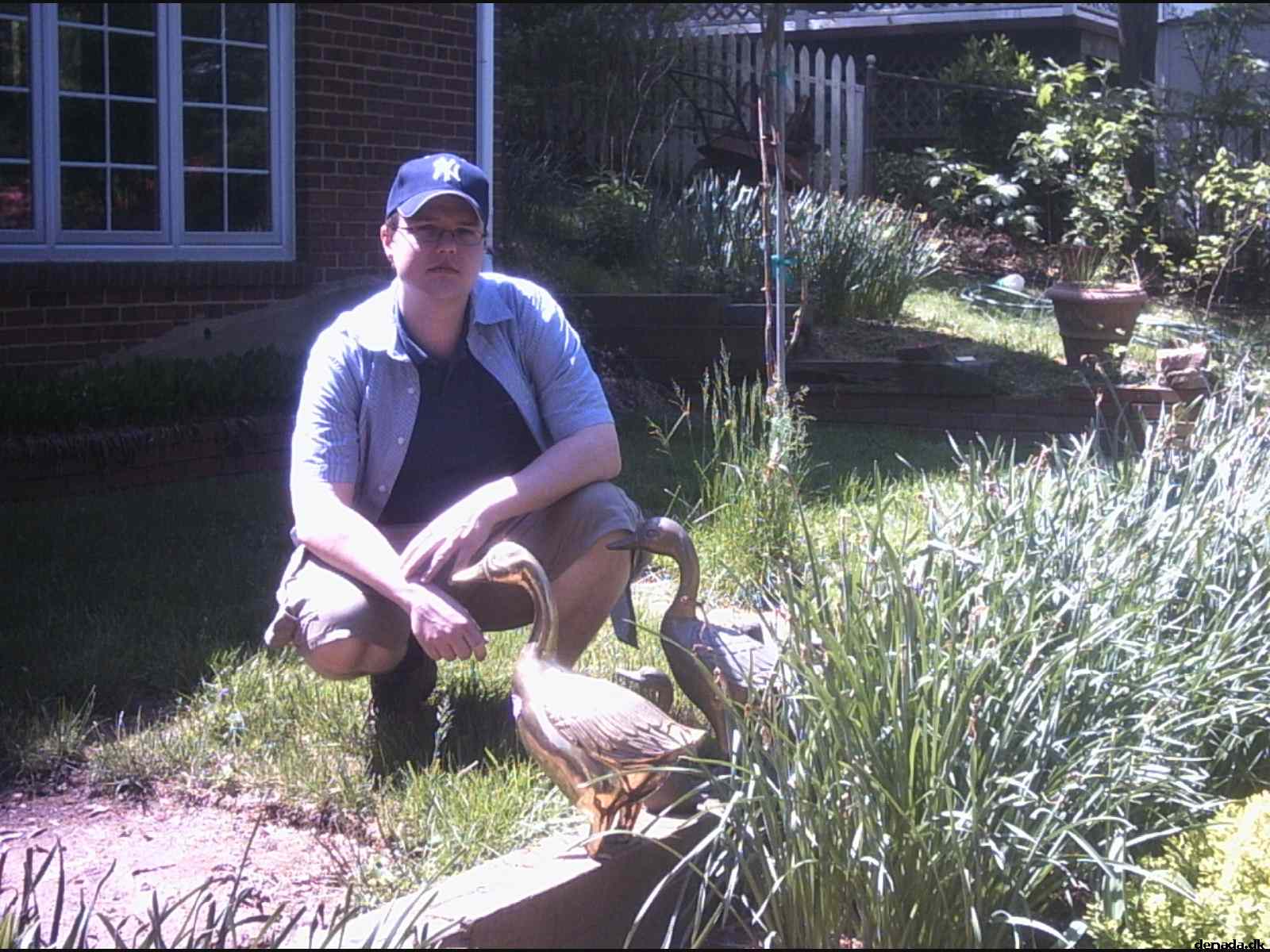 * Image 32
