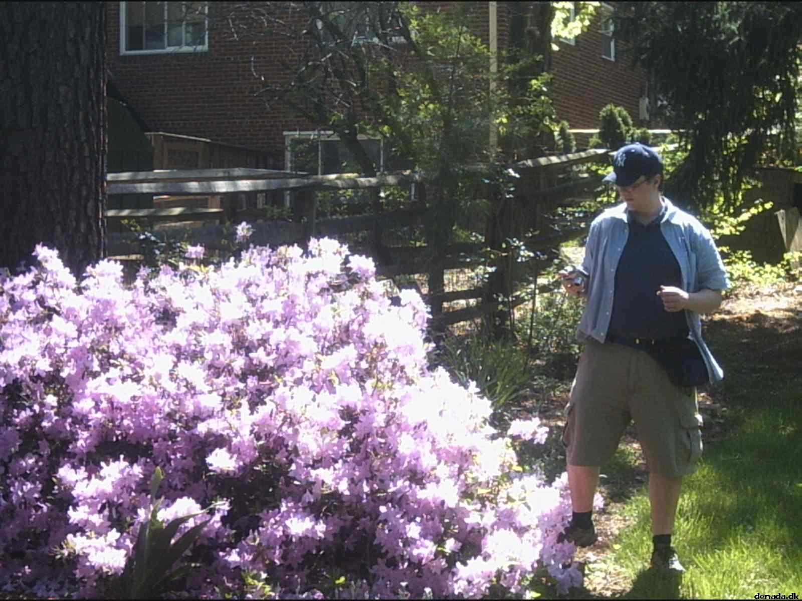 * Image 33