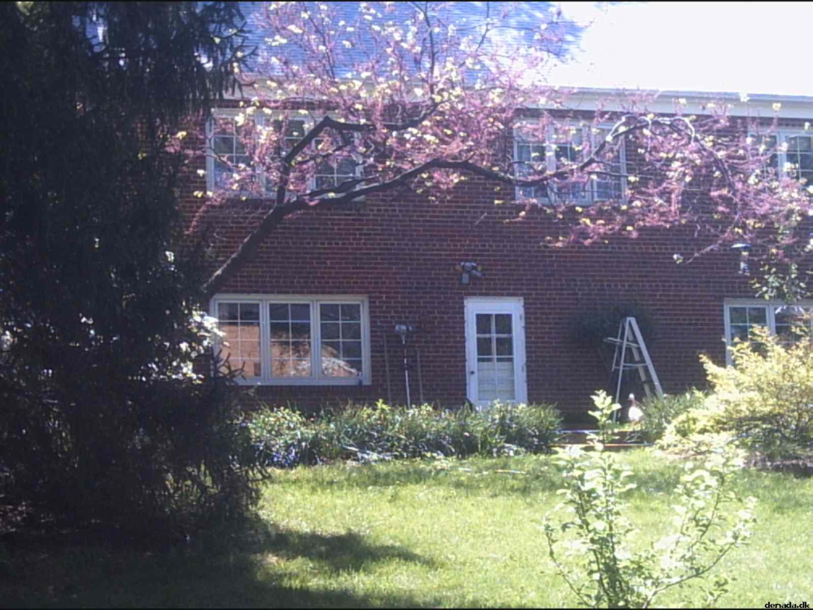 * Image 34