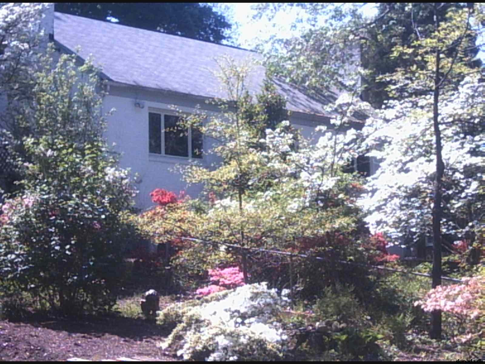 * Image 35