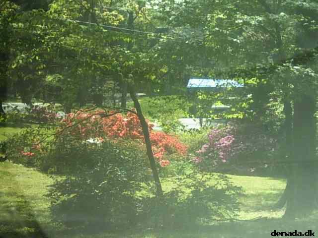 * Image 23