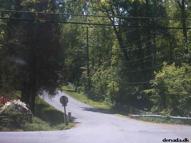 * Image 24