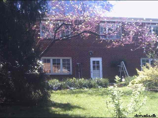 * Image 34