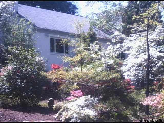* Image 35