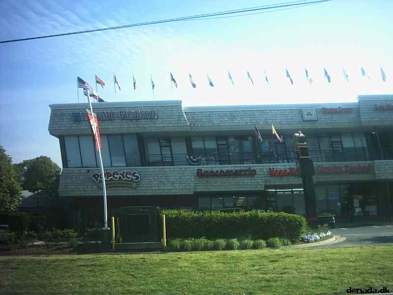 * Image 5