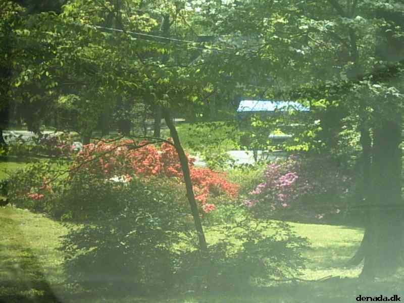 * Image 23