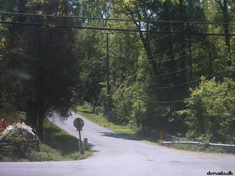 * Image 24