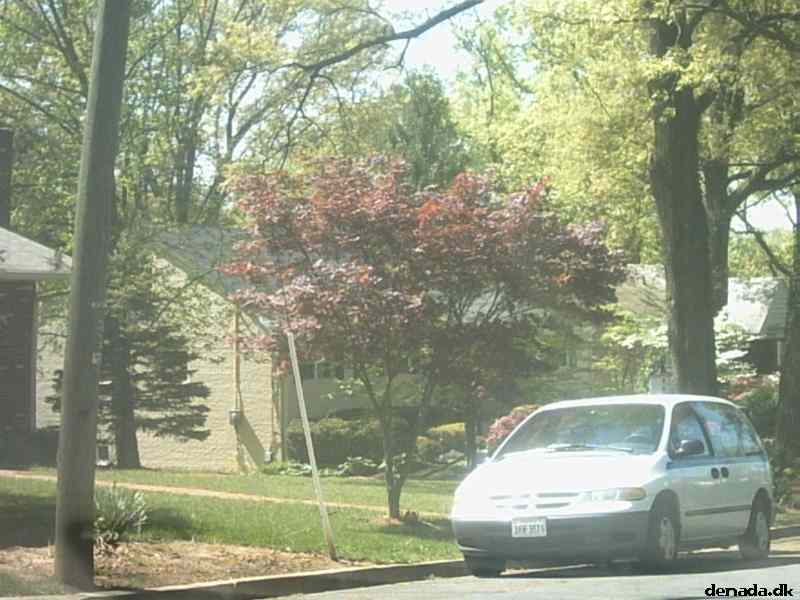 * Image 26