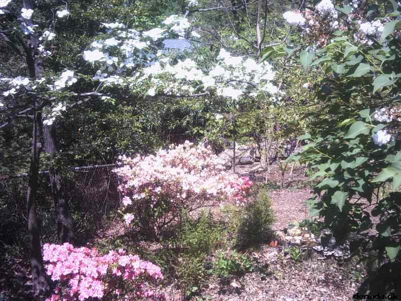 * Image 31
