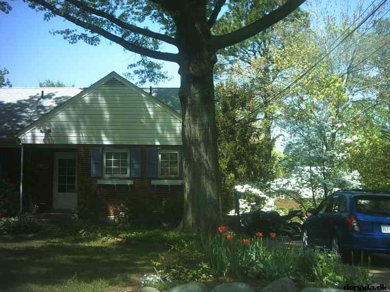 * Image 49