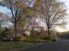 HPIM0579.JPG - 2006:04:19 01:08:50