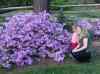 HPIM0587.JPG - 2006:04:19 01:27:41