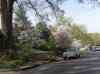 HPIM0600.JPG - 2006:04:19 10:02:00