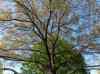HPIM0605.JPG - 2006:04:19 10:09:31
