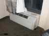 HPIM0664.JPG - 2006:04:19 21:42:36