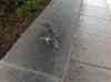 HPIM0692.JPG - 2006:04:20 10:34:40