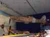 HPIM0707.JPG - 2006:04:20 13:01:57