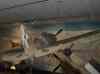 HPIM0709.JPG - 2006:04:20 13:03:58