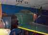 HPIM0710.JPG - 2006:04:20 13:04:43