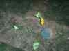 HPIM0727.JPG - 2006:04:20 20:28:06