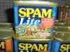 HPIM0735.JPG - 2006:04:21 09:29:11