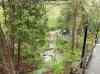 HPIM0772.JPG - 2006:04:21 15:33:03