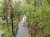 HPIM0774.JPG - 2006:04:21 15:33:13