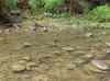 HPIM0779.JPG - 2006:04:21 15:46:02