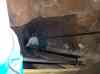 HPIM0789.JPG - 2006:04:21 16:50:45