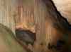 HPIM0794.JPG - 2006:04:21 17:06:49
