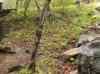 HPIM0805.JPG - 2006:04:21 17:52:33