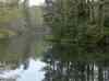 HPIM0818.JPG - 2006:04:21 18:02:32