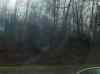 HPIM0833.JPG - 2006:04:21 19:27:11