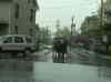 HPIM0860.JPG - 2006:04:22 16:34:43