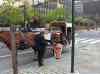 HPIM0897.JPG - 2006:04:23 10:23:35