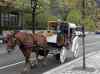 HPIM0909.JPG - 2006:04:23 11:00:43