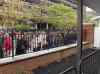 HPIM0911.JPG - 2006:04:23 11:05:42